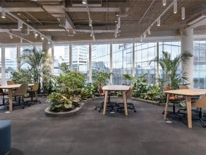 NOTICIA BASF Alta 10